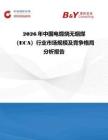 2026年中國電煅燒無煙煤（ECA）行業市場規模及競爭格局分析報告