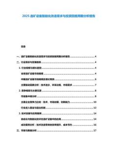 2025選礦設(shè)備智能化改造需求與投資回報(bào)周期分析報(bào)告