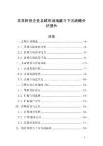 共享網絡企業縣域市場拓展與下沉戰略分析報告