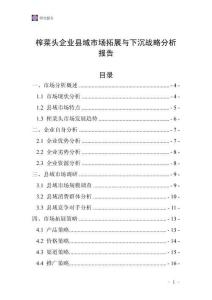 榨菜頭企業縣域市場拓展與下沉戰略分析報告
