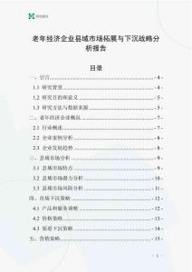 老年經濟企業縣域市場拓展與下沉戰略分析報告