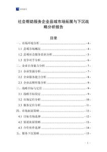 社會幫助服務企業縣域市場拓展與下沉戰略分析報告