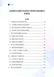 山核桃企業(yè)數(shù)字化轉(zhuǎn)型與智慧升級戰(zhàn)略分析報告