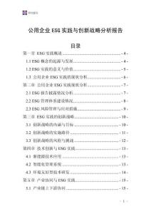 公用企业ESG实践与创新战略分析报告