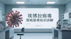 埃博拉病毒致病原理知識講解