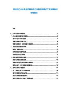 短線投行企業(yè)業(yè)務(wù)拓展與投行業(yè)務(wù)創(chuàng)新模式產(chǎn)業(yè)發(fā)展的綜合性報告