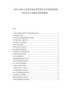 2025-2030兒童游樂(lè)場(chǎng)運(yùn)營(yíng)管理行業(yè)市場(chǎng)發(fā)展供需分析及親子家庭市場(chǎng)發(fā)展策略