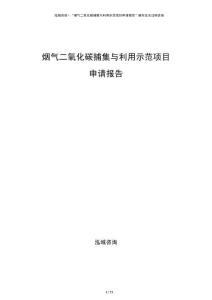 煙氣二氧化碳捕集與利用示范項目申請報告