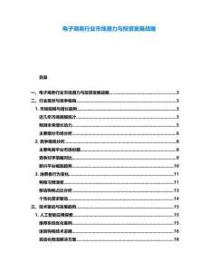 電子商務(wù)行業(yè)市場潛力與投資發(fā)展戰(zhàn)略