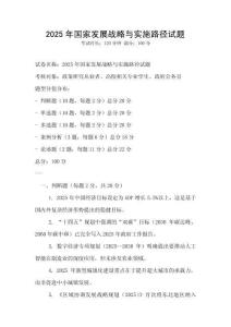 2025年國家發展戰略與實施路徑試題