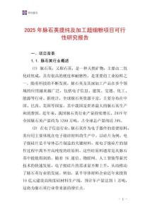 2025年脈石英提純及加工超細粉項目可行性研究報告
