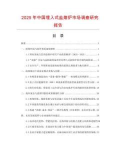 2025年中國埋入式鹽熔爐市場調查研究報告