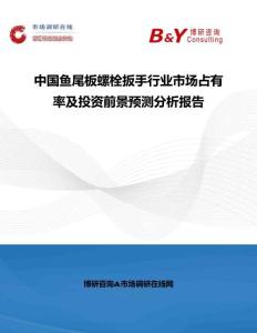 中國魚尾板螺栓扳手行業市場占有率及投資前景預測分析報告