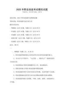 2025年職業技能考試模擬試題