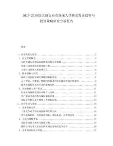 2025-2030防災(zāi)減災(zāi)業(yè)市場(chǎng)深入鉆研及發(fā)展趨勢(shì)與投資策略研究分析報(bào)告