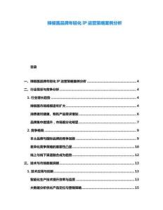 辣椒醬品牌年輕化IP運(yùn)營策略案例分析