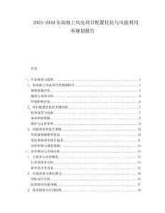 2025-2030東南海上風電項目配置優(yōu)化與風能利用率規(guī)劃報告