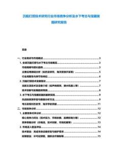 沉船打撈技術(shù)研究行業(yè)市場(chǎng)競(jìng)爭(zhēng)分析及水下考古與寶藏發(fā)掘研究報(bào)告
