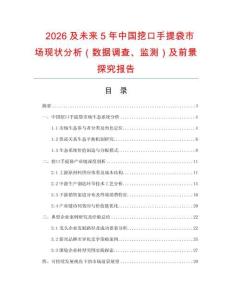2026及未来5年中国挖口手提袋市场现状分析（数据调查、监测）及前景探究报告