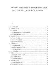 2025-2030駕駛員輔助系統(tǒng)ADAS技術視距識別能力測試汽車智能化市場發(fā)展現(xiàn)狀規(guī)劃分析研究