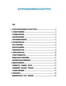 電子特氣純化技術(shù)突破與本土化生產(chǎn)可行性