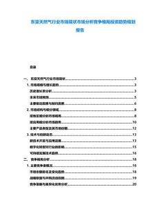 東亞天然氣行業(yè)市場現(xiàn)狀市場分析競爭格局投資趨勢規(guī)劃報(bào)告