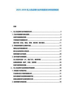 2025-2030無人機(jī)應(yīng)用行業(yè)市場現(xiàn)狀分析投資規(guī)劃