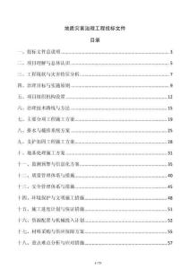 地質(zhì)災(zāi)害治理工程投標(biāo)文件