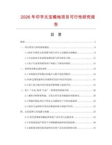 2026年印字元寶蠟燭項目可行性研究報告