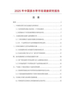 2025年中國排水帶市場調查研究報告