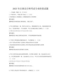 2025年注册会计师考试专业阶段试题