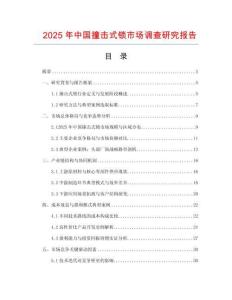 2025年中国撞击式锁市场调查研究报告