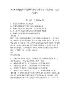 2026西藏技师学院锅炉兼综合维修工岗位补聘1人备考题库附答案详解（满分必刷）