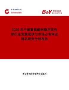 2026年中國聚氨酯樹脂用改性劑行業發展現狀與市場占有率及排名研究分析報告