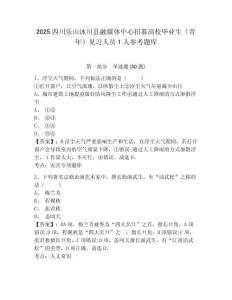2025四川樂山沐川縣融媒體中心招募高校畢業生（青年）見習人員1人參考題庫（含答案詳解）