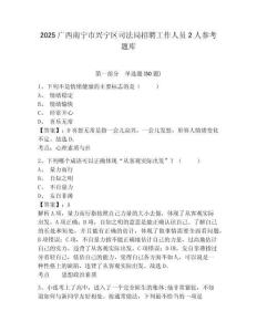 2025廣西南寧市興寧區司法局招聘工作人員2人參考題庫及1套完整答案詳解