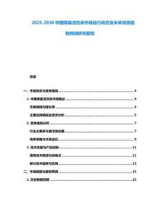 2025-2030中國(guó)煤基活性炭市場(chǎng)運(yùn)行動(dòng)態(tài)及未來投資趨勢(shì)預(yù)測(cè)研究報(bào)告