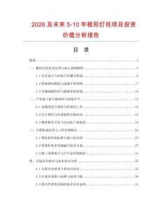 2026及未來5-10年欖形燈柱項目投資價值分析報告