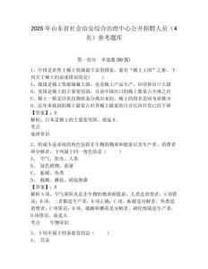 2025年山東省社會治安綜合治理中心公開招聘人員（4名）參考題庫附答案詳解（模擬題）
