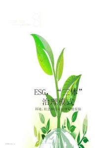 ESG，“三體”治理模式——環(huán)境、社會(huì)和公司治理標(biāo)準(zhǔn)實(shí)驗(yàn)
