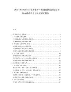 2025-2030汽車后市場服務體系建設供需匹配創新資本流動性規劃分析研究報告