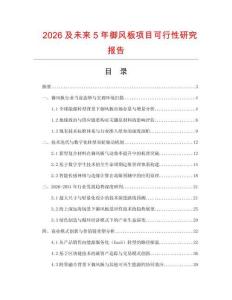 2026及未來5年御風板項目可行性研究報告