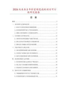 2026及未來5年臥室繡花抱枕項目可行性研究報告
