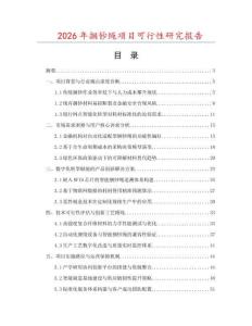 2026年捆钞绳项目可行性研究报告