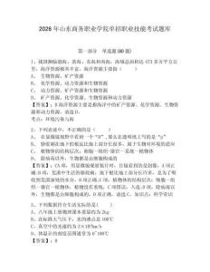 2026年山东商务职业学院单招职业技能考试题库含答案详解（轻巧夺冠）