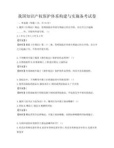 我国知识产权保护体系构建与实施备考试卷