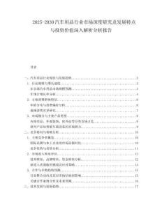 2025-2030汽車用品行業市場深度研究及發展特點與投資價值深入解析分析報告