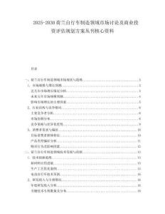 2025-2030荷蘭自行車制造領(lǐng)域市場討論及商業(yè)投資評估規(guī)劃方案叢刊核心資料