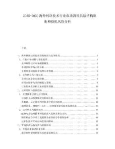 2025-2030海外網絡技術行業市場消耗供給結構制衡和投機風險分析