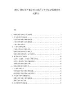 2025-2030軟件服務行業需求分析投資評估規劃研究報告